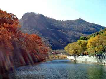 新澳天天开奖资料大全旅游团，我的美女局长